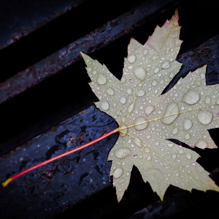 Y llegó la lluvia... I Photowalk Fotoforum Compostela